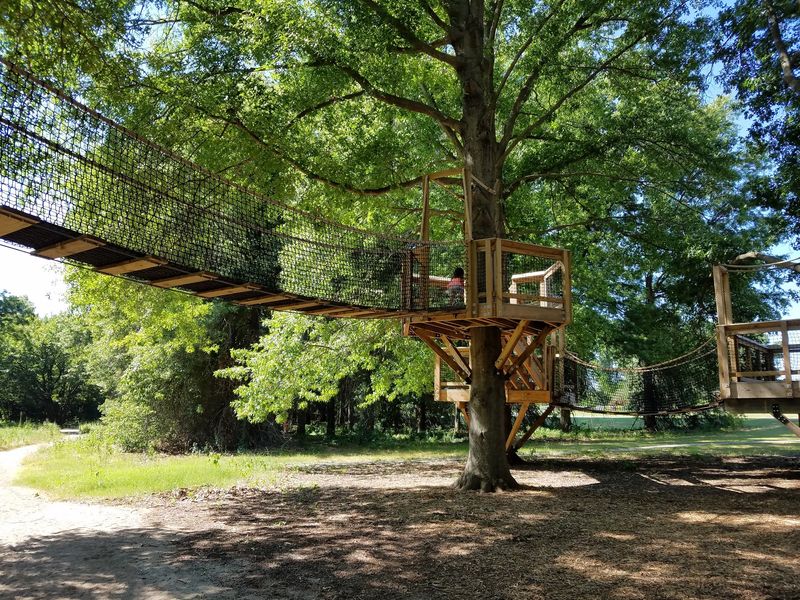 The Treehouse Village and Children's Play Area The Treehouse Village and Children's Play Area