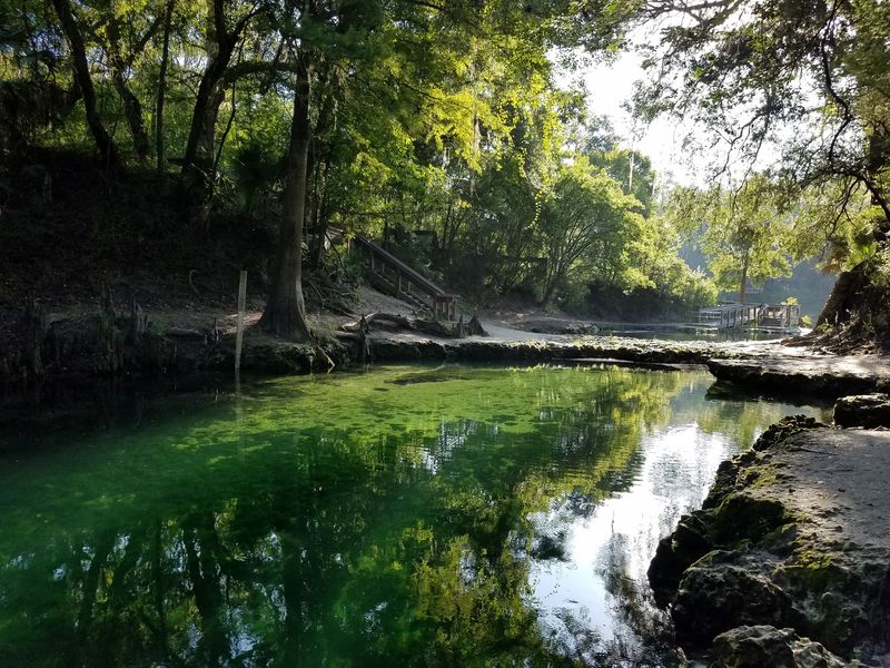 The Twin Springs and Their Rare Limestone Bridge