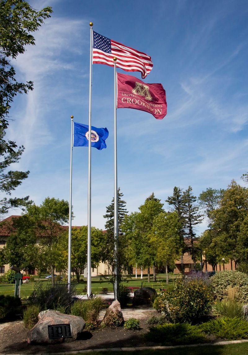 The University of Minnesota Connection and What It Means The University of Minnesota Connection and What It Means