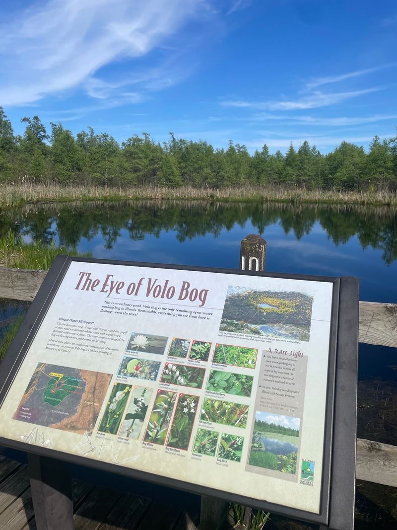 The Visitor Center and What It Offers
