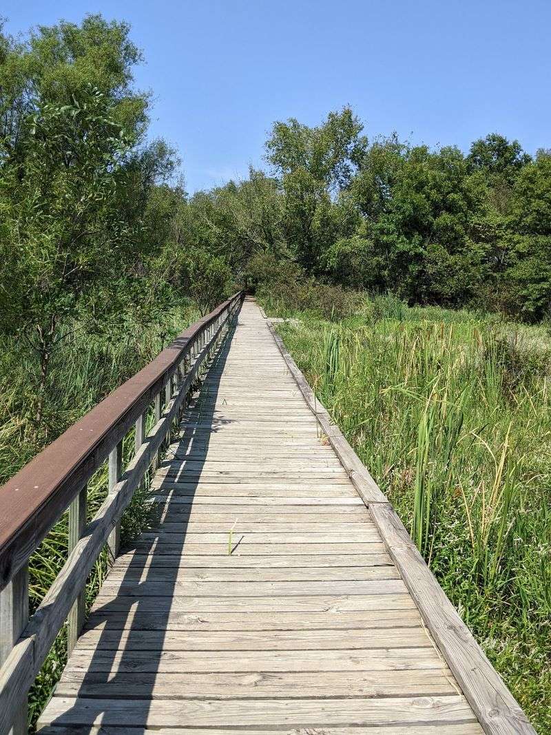 The Wetland Trails That Define the Experience The Wetland Trails That Define the Experience