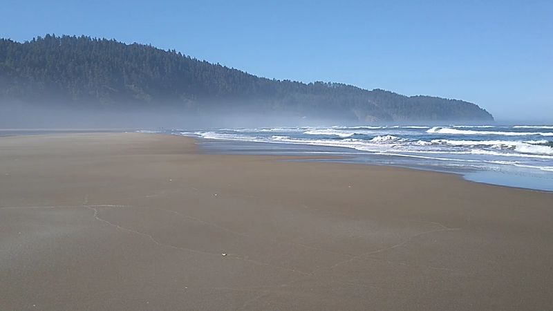 The Wide, Uncrowded Shoreline The Wide, Uncrowded Shoreline