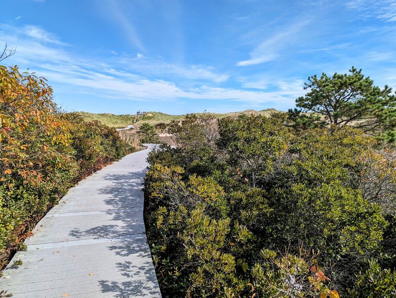 The Winding Road Through the Wilderness The Winding Road Through the Wilderness