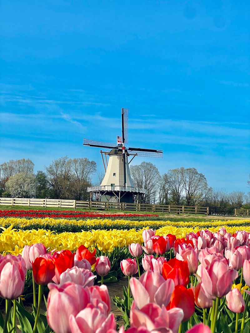 The Windmill and Other Photo Stops The Windmill and Other Photo Stops