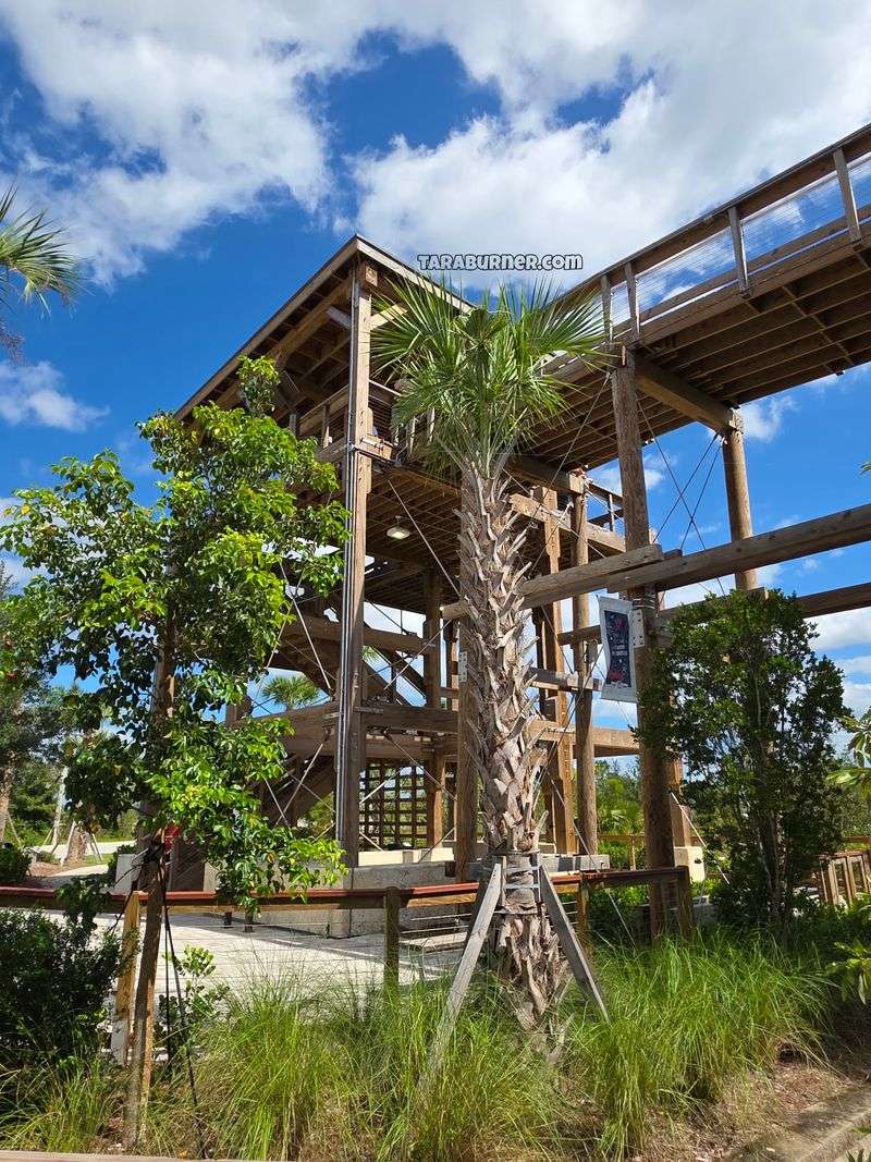 The Wooden Tower With Wide-Open Views The Wooden Tower With Wide-Open Views