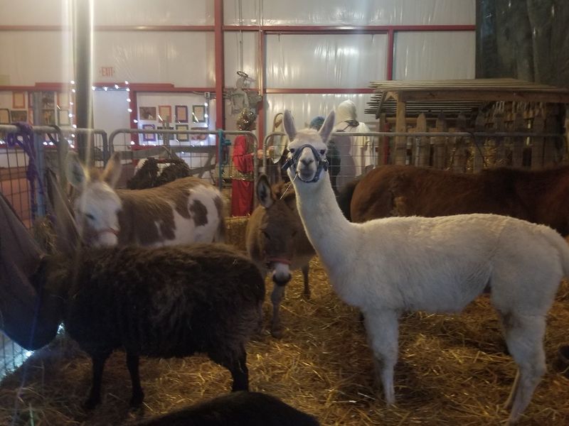 The Wool Mill and Fiber Arts at the Heart of the Operation The Wool Mill and Fiber Arts at the Heart of the Operation