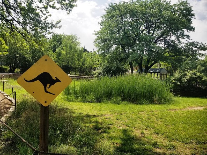 Themed Trails That Transport You Across Continents