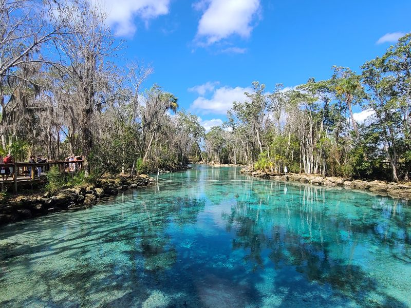 Three Sisters Springs, Crystal River, FL Three Sisters Springs, Crystal River, FL