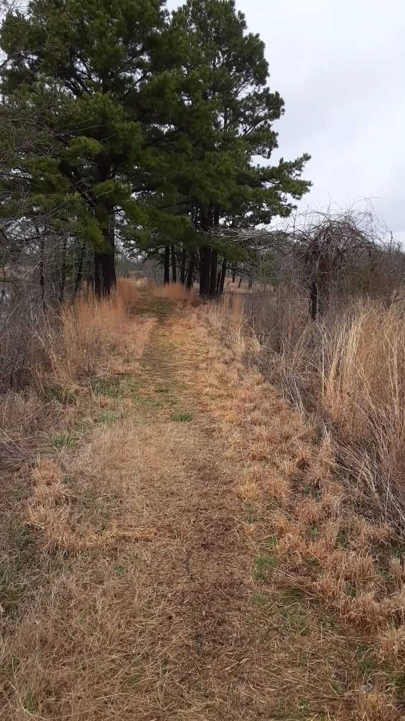 Tick Awareness and Trail Preparation Tips Tick Awareness and Trail Preparation Tips