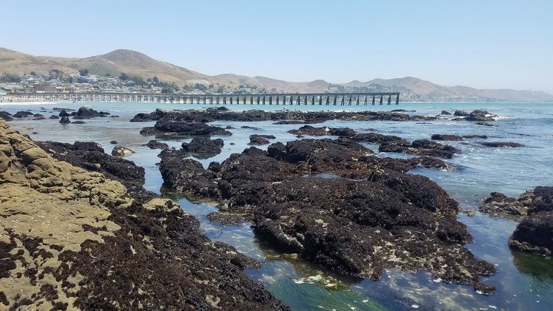 Tide Pools Hidden Along the Rocky Headland