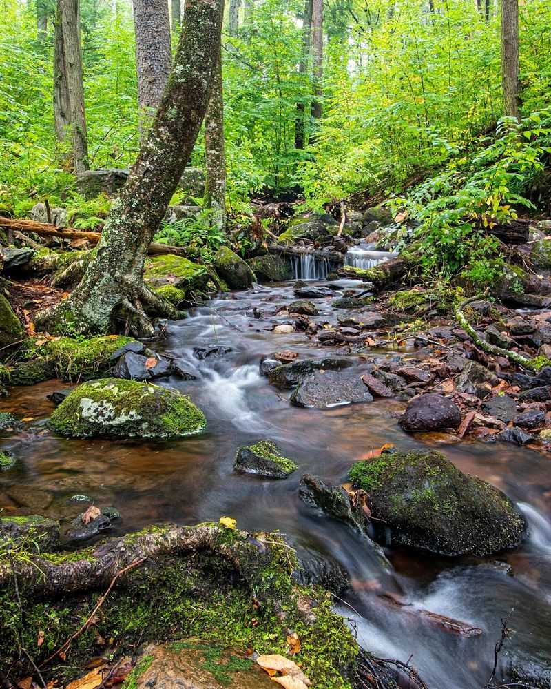 Tillman Ravine, Branchville, NJ