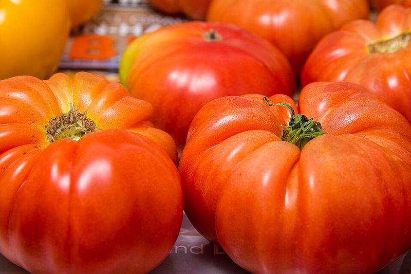 Tomatoes
