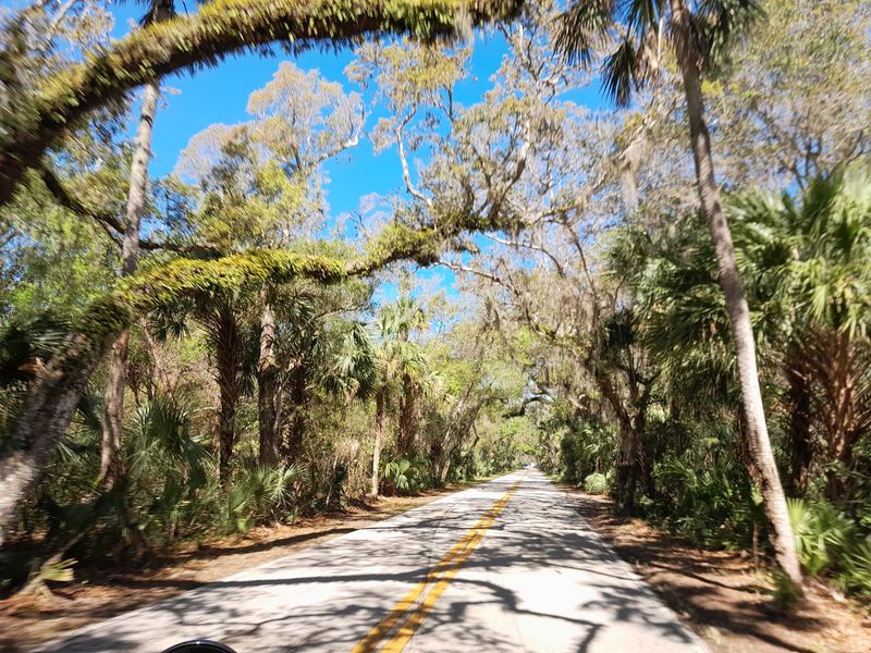 Tomoka and North Peninsula Make Deliberate Stops Easy