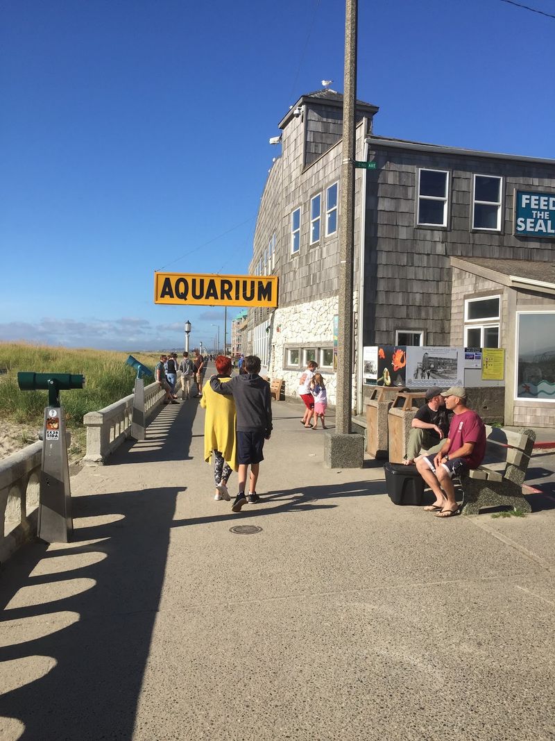 Touch Tanks at the Seaside Aquarium