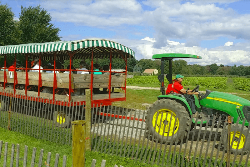 Tractor Rides Out to the Rows Tractor Rides Out to the Rows