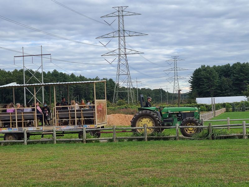 Tractor Rides and Pedal Go-Karts Tractor Rides and Pedal Go-Karts