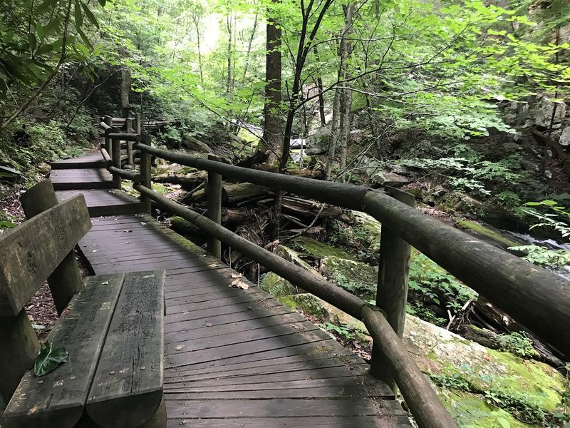 Trail Difficulty And What To Expect On The Ground Trail Difficulty And What To Expect On The Ground