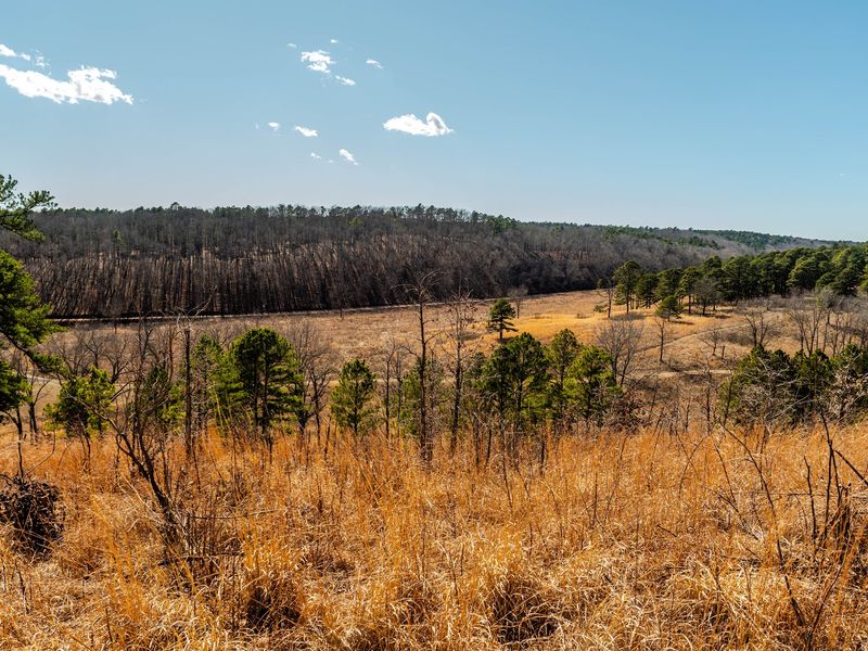 Trail Network Across Savanna, Pine Ridge, and Wetlands Trail Network Across Savanna, Pine Ridge, and Wetlands