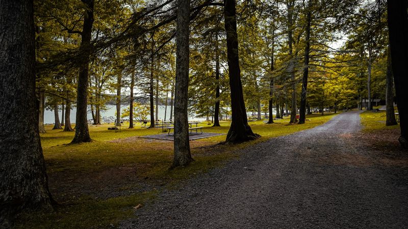Trails And Dog-Friendly Wandering Trails And Dog-Friendly Wandering
