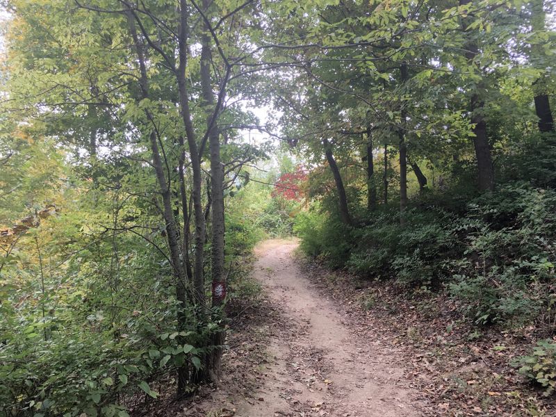 Trails Around the Overlook Area