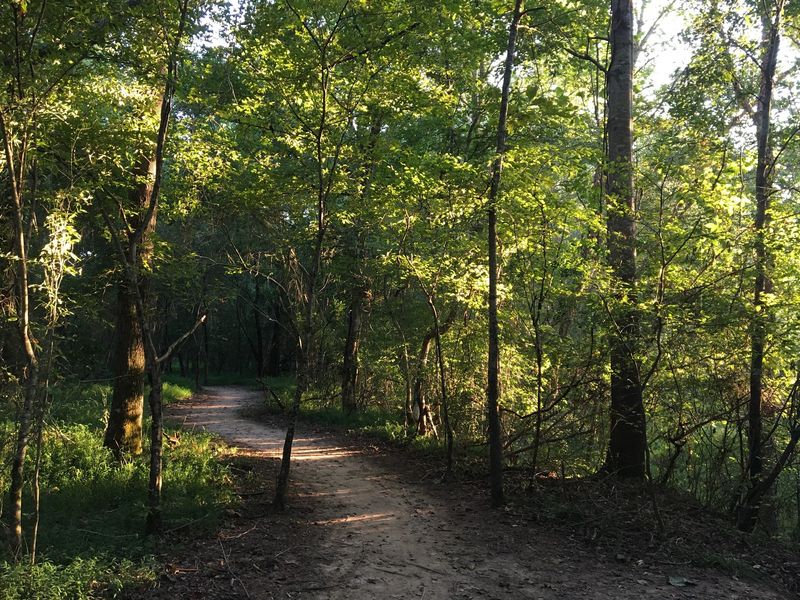 Trails Beyond the Planks Trails Beyond the Planks