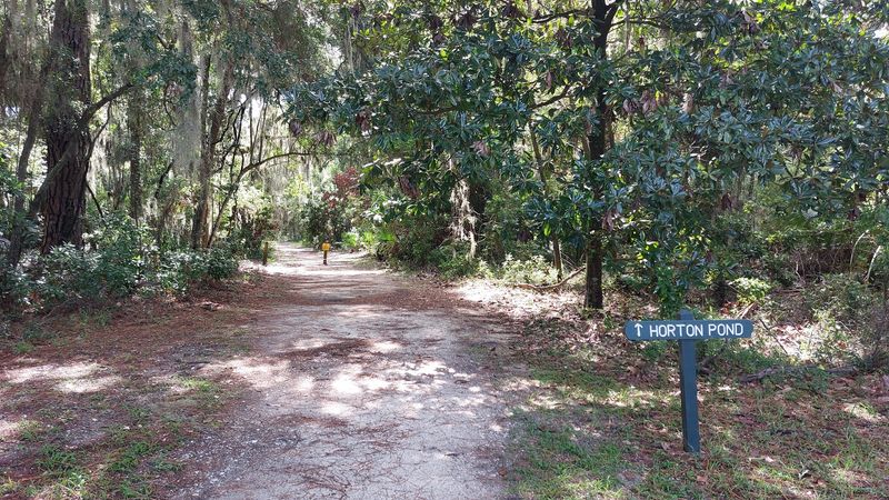 Trails Leading to Horton Pond