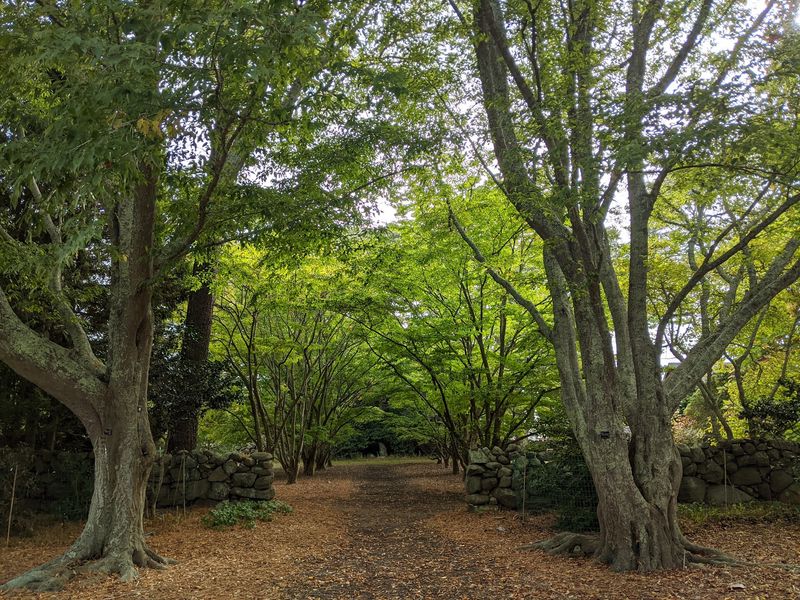 Trails Made for a Peaceful Wander