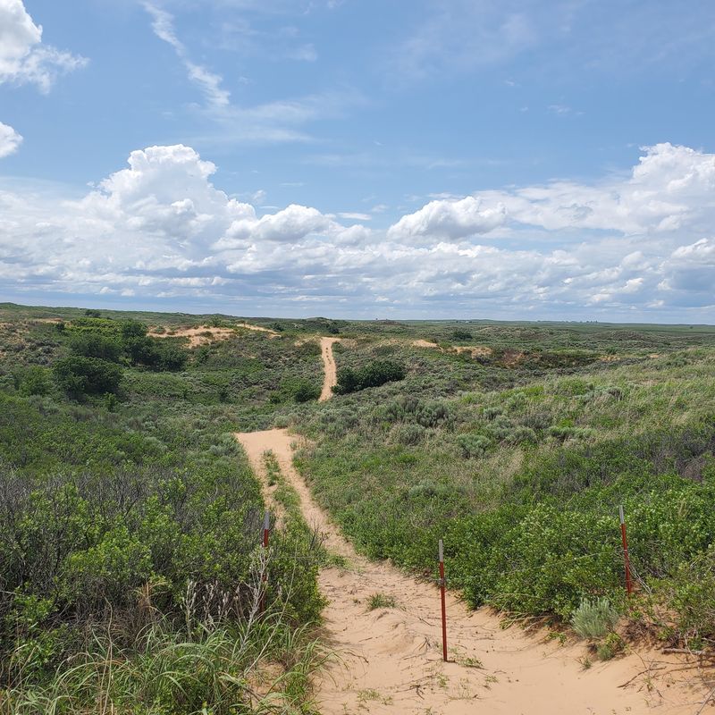 Trails Over Vegetated Dunes Trails Over Vegetated Dunes