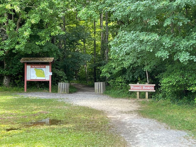 Trails That Lead You Down to the Water Trails That Lead You Down to the Water