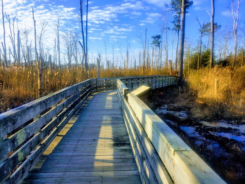 Trails That Let You Pick Your Own Adventure Trails That Let You Pick Your Own Adventure