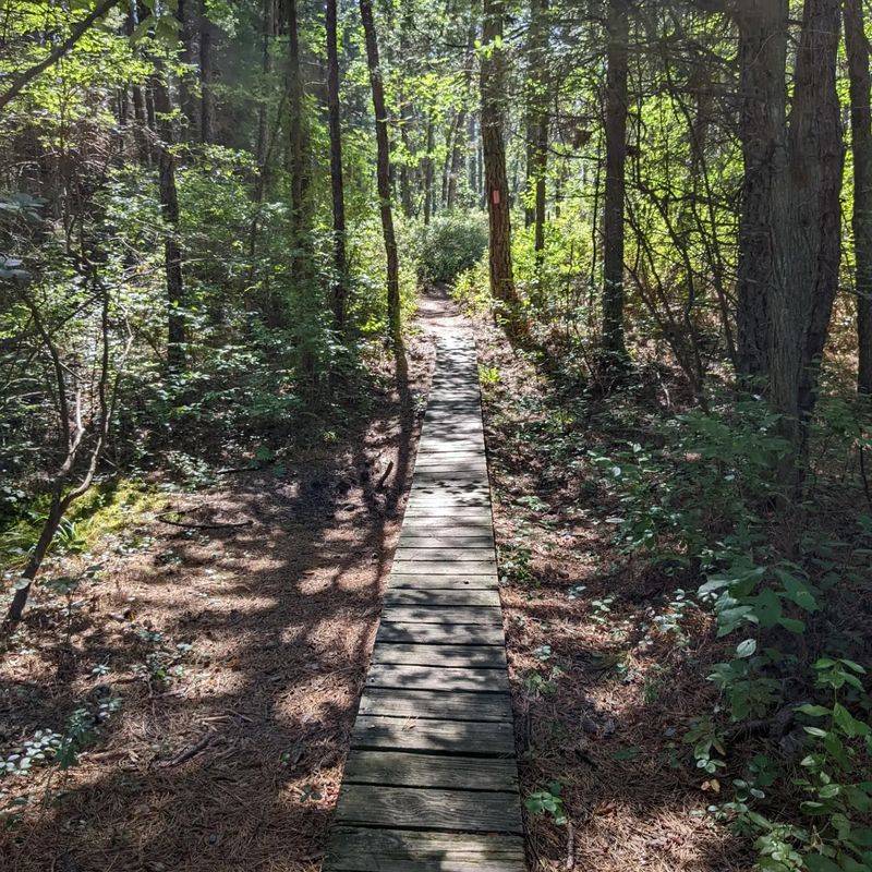 Trails That Stretch The Visit Beyond The Village