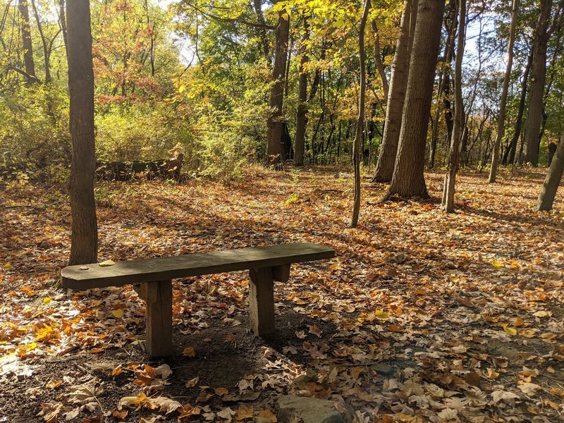Trails That Take You Through Four Distinct Worlds