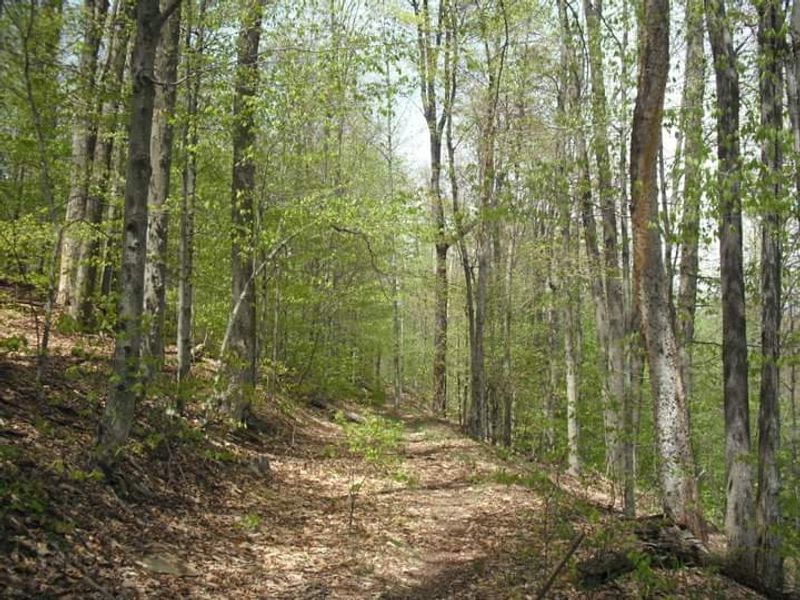 Trails That Were Never Really Trails: Hiking Through a Living History Map Trails That Were Never Really Trails: Hiking Through a Living History Map