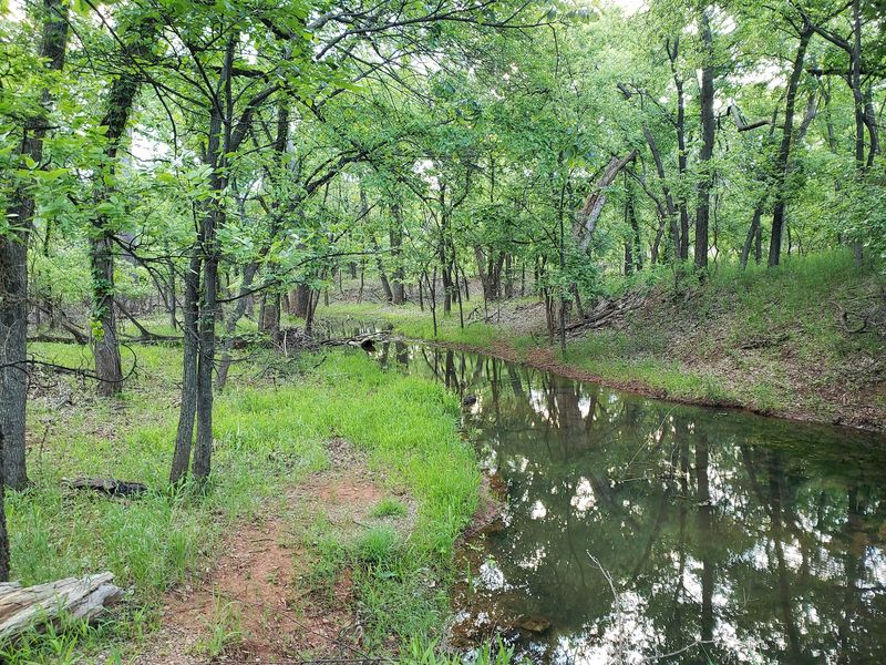 Trails Through Woodland, Grassland, and Creek