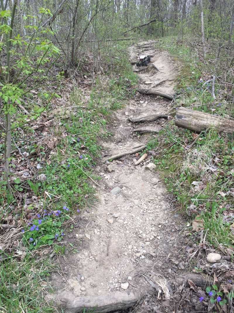 Trails Through the Woods Trails Through the Woods