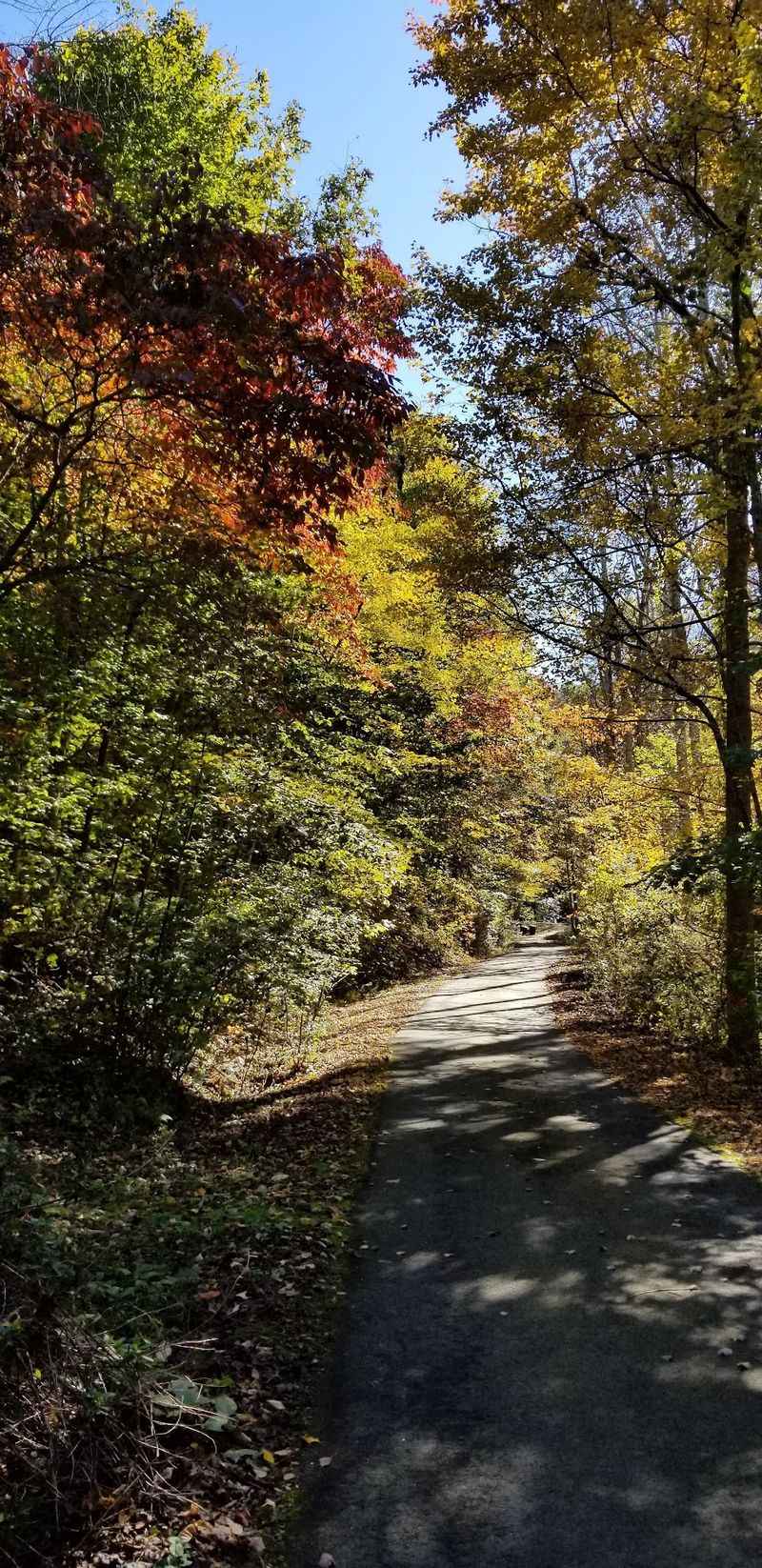 Trails and Fresh Air Just Beyond Downtown
