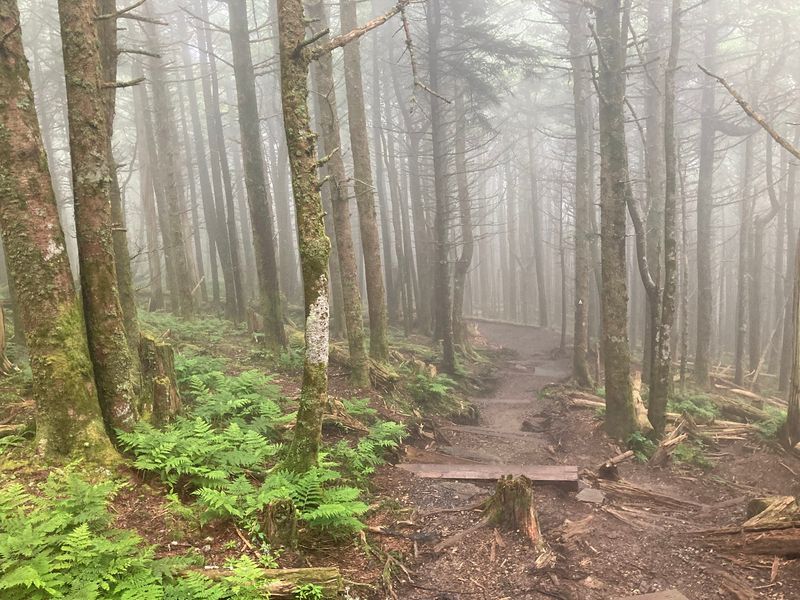 Trails for Every Kind of Adventurer