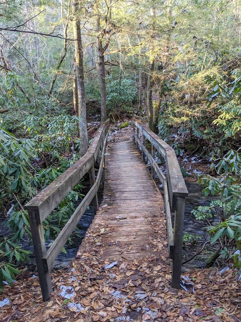 Trails for Every Kind of Walker Trails for Every Kind of Walker