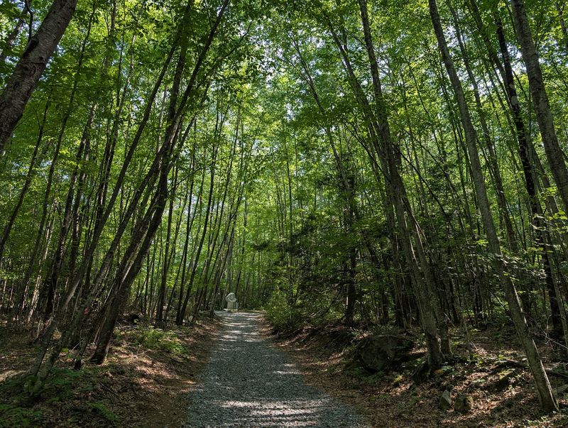 Trails for Every Level: How to Navigate Potanipo Hill Trails for Every Level: How to Navigate Potanipo Hill