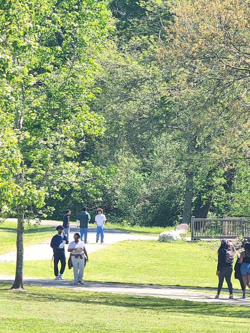 Trails for Every Pace: Where Walkers and Joggers Find Their Groove Trails for Every Pace: Where Walkers and Joggers Find Their Groove