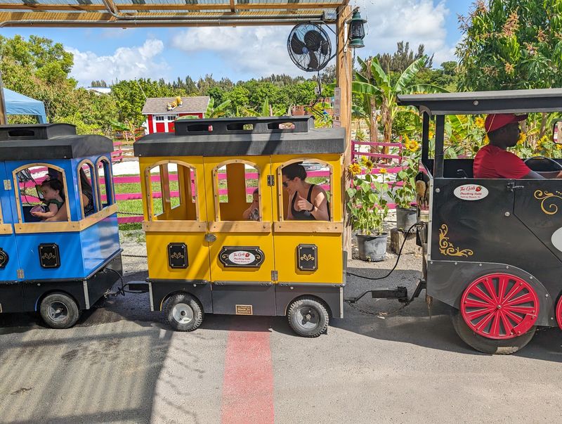 Train Rides, Gem Mining, and Kid-Sized Adventures Train Rides, Gem Mining, and Kid-Sized Adventures