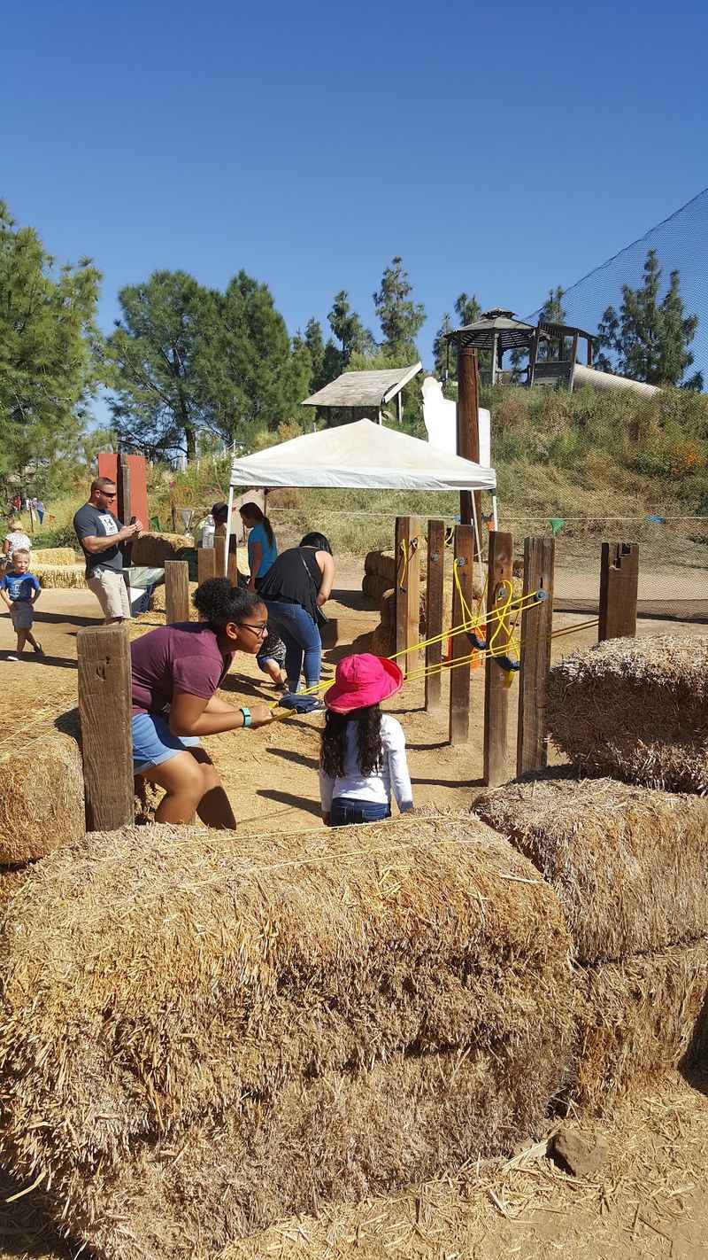 Train Rides, Ropes, and Bounce Pillows Train Rides, Ropes, and Bounce Pillows