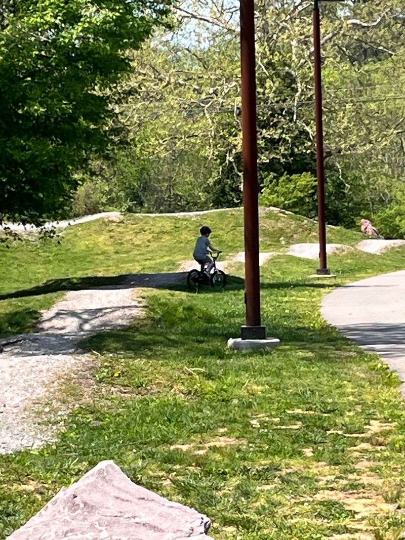 Training Wheels And First Pedals