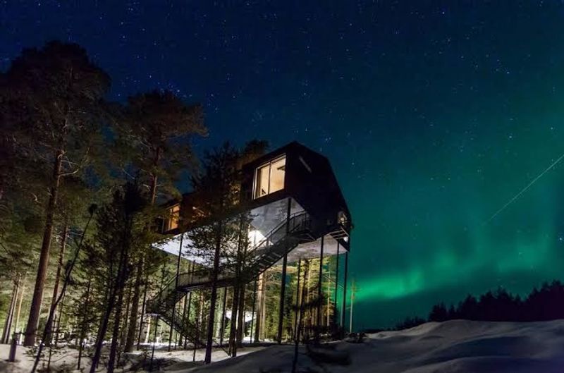 Treehotel Bird's Nest, Harads, Sweden Treehotel Bird's Nest, Harads, Sweden