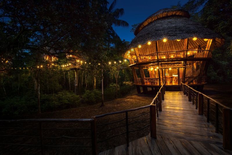 Treehouse Lodge, Peruvian Amazon, Peru Treehouse Lodge, Peruvian Amazon, Peru