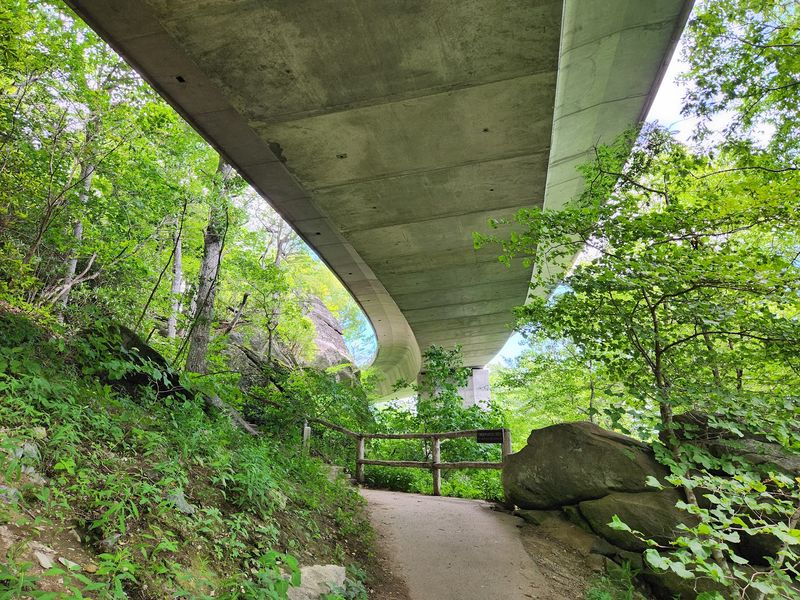 Trestles could become trail features after major engineering work Trestles could become trail features after major engineering work