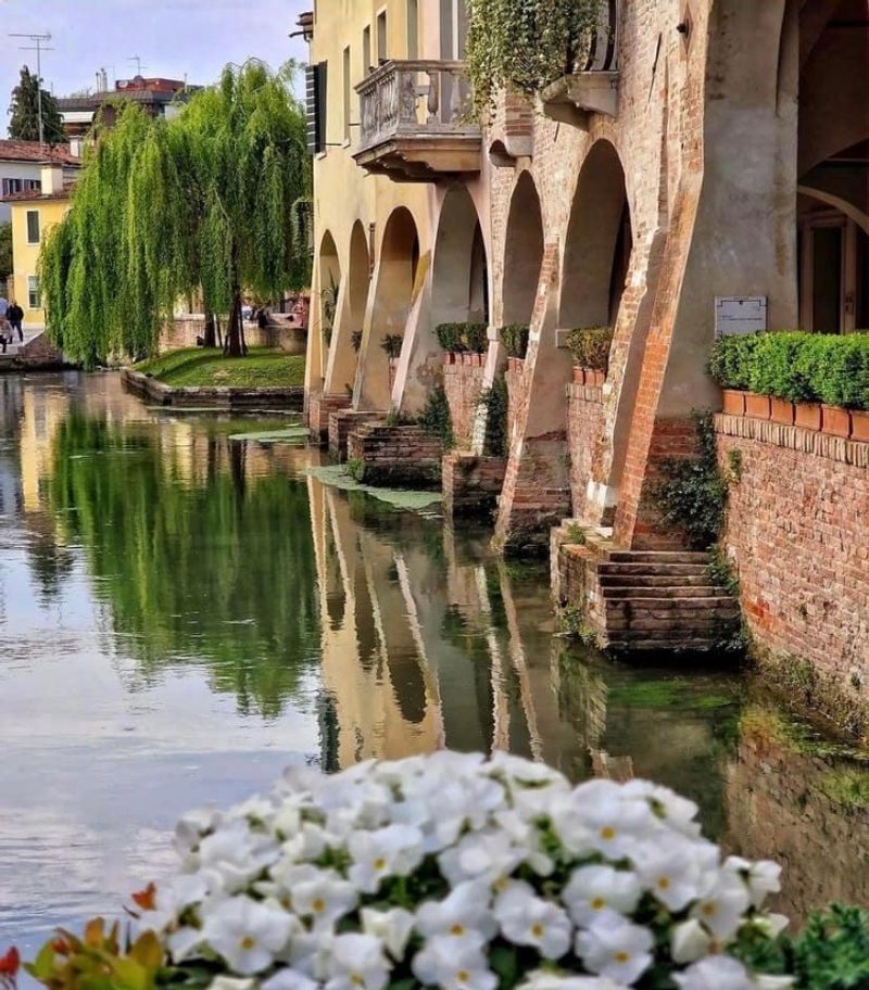 Treviso