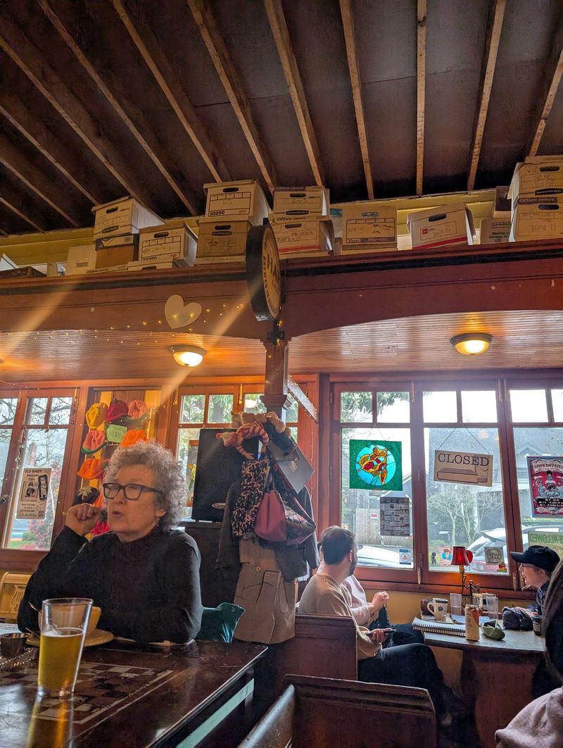 Trivia Nights, Live Music, and Open Mic Trivia Nights, Live Music, and Open Mic
