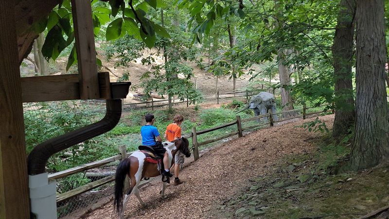 Trot Through the Wilderness on Pony Back Trot Through the Wilderness on Pony Back