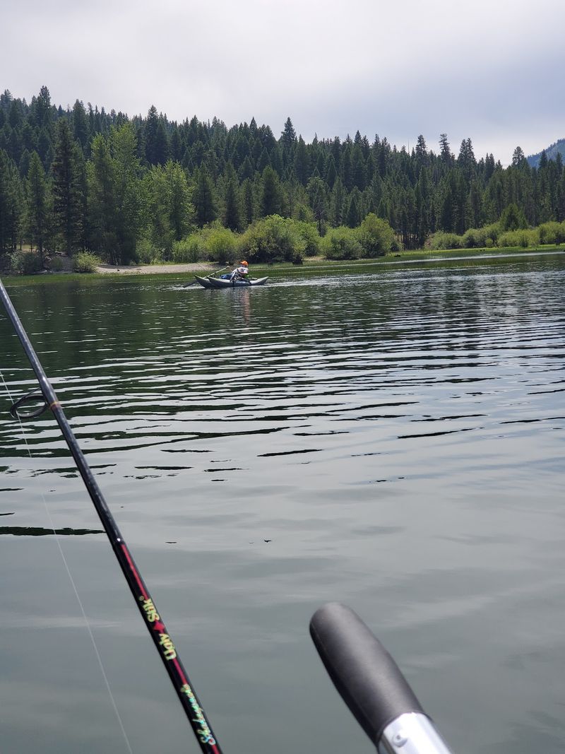Trout, Casts, and the Quiet Thrill of Fishing a Mountain Reservoir